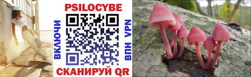 Купить  Кондрово  Псилоцибиновые грибы мицелий 